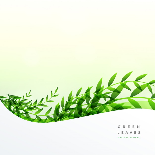 Groene bladerenachtergrond met tekstruimte Gratis Vector