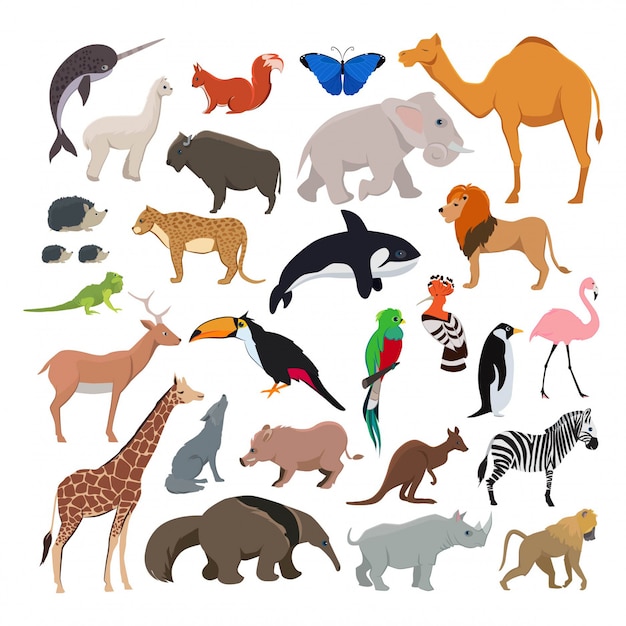 Grote vector die met wilde leuke dieren wordt geplaatst Premium Vector