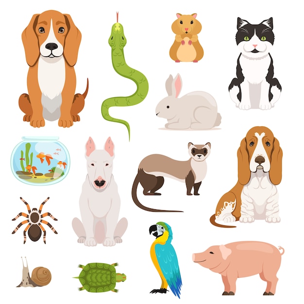 Grote vectorreeks verschillende huisdieren. katten, honden, hamster en andere huisdieren in cartoon-stijl Premium Vector