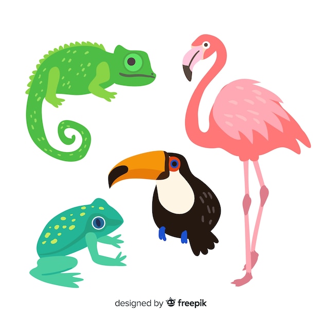 Hand getekend tropische dieren collectie Gratis Vector