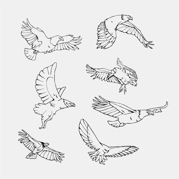 Wonderlijk Hand getekende vliegende vogels collectie | Gratis Vector JF-66