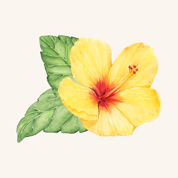 Hand getrokken bloem vector geïsoleerd Gratis Vector