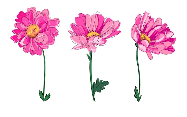 Hand getrokken bloemen, mooie decoratieve bloem, element voor ontwerp, schets. Premium Vector
