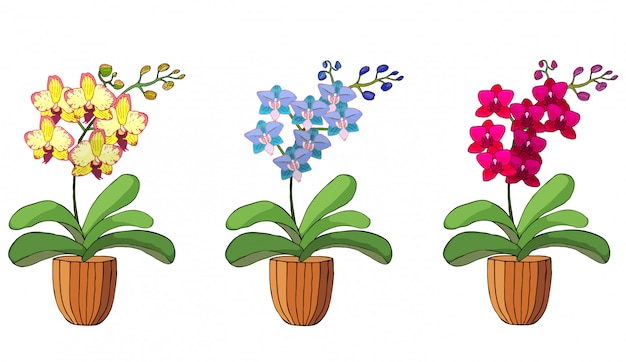 Hand getrokken set orchideeën in bloempotten. Premium Vector