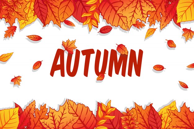 Herfst achtergrond met kleurrijke bladeren op witte achtergrond Premium Vector