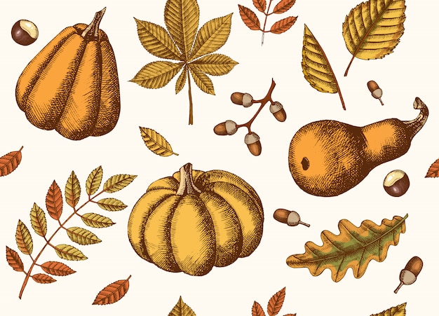 Herfst naadloze patroon met hand getrokken bladeren en pompoenen. bladeren van esdoorn, berk, kastanje, eikel, essenboom, eik. schetsen. Premium Vector