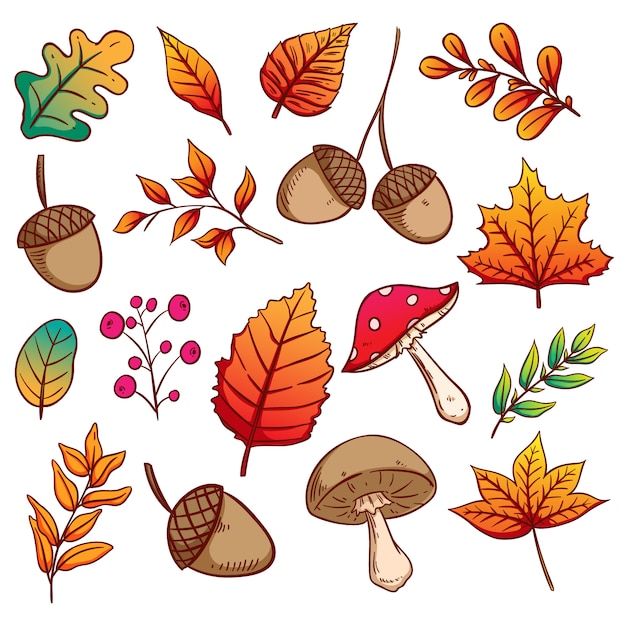 Herfstbladeren, eikels en paddestoelen instellen met kleurrijke hand getrokken stijl Premium Vector