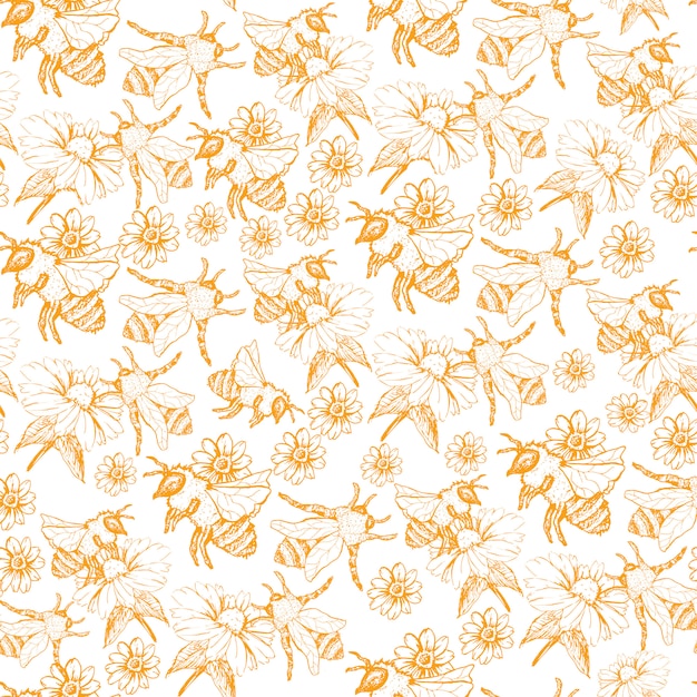 Honey bee seamless pattern, schetsillustratie met bijenkasten in uitstekende stijl Gratis Vector