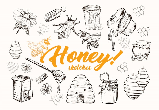 Honey sketches set, beehive, honey jar, barrel, spoon hand drawn Gratis Vector