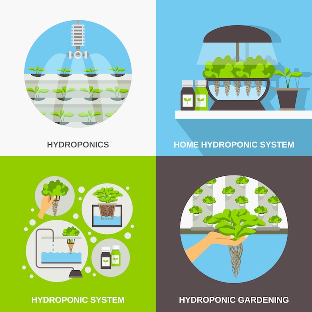 Hydrocultuur vlakke kaartenset Gratis Vector