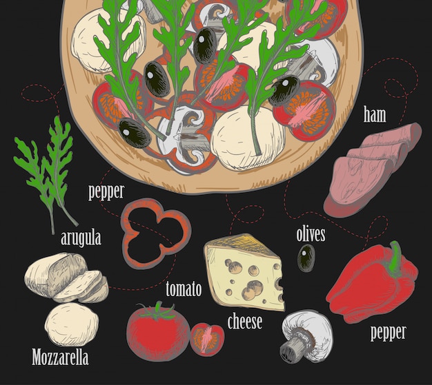 Ingredienten Voor Pizza Zoals Olijven Tomaat Champignons Mozzarella Rucola Ham Kaas Peper Getekend In Een Krijtachtige Grafische Stijl Premium Vector