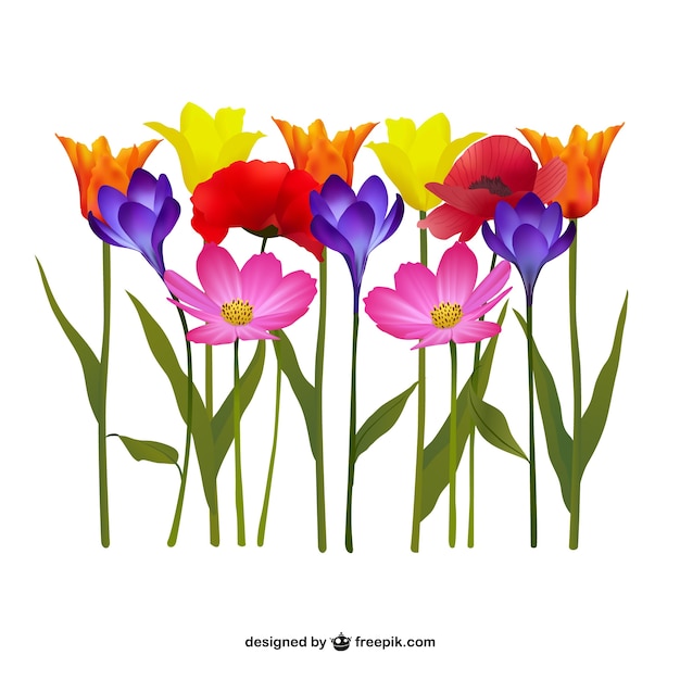 Kleurrijke Bloemen Illustratie Gratis Vector