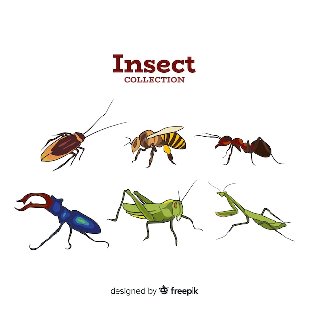 Kleurrijke insectencollectie Gratis Vector