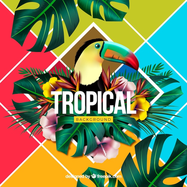 Kleurrijke tropische achtergrond met realistisch ontwerp Gratis Vector