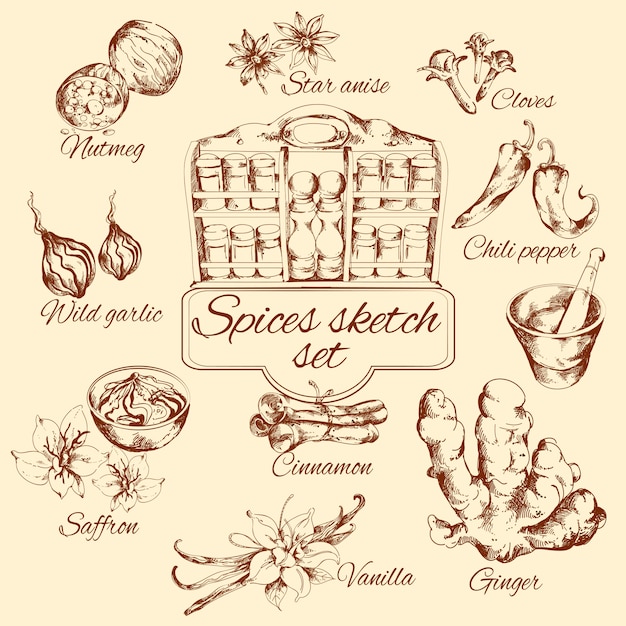 Kruiden sketch set Gratis Vector