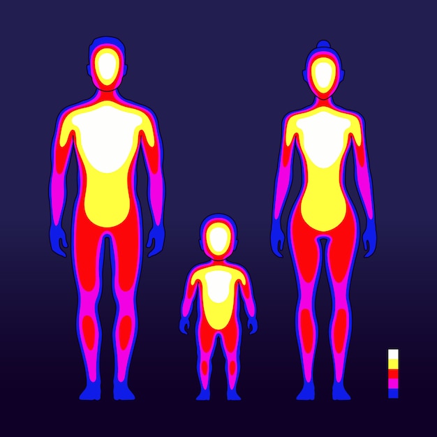 Mannelijke en vrouwelijke lichaamswarmte in infraroodspectrum. menselijke temperatuur schematische vectorillustratie Premium Vector