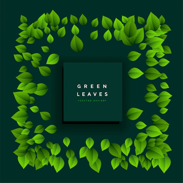 Mooi groen bladerenkader met tekstruimte Gratis Vector