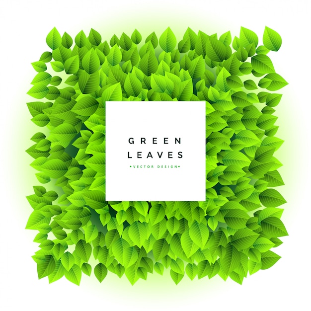 Mooie groene bladeren bos frame achtergrond Gratis Vector