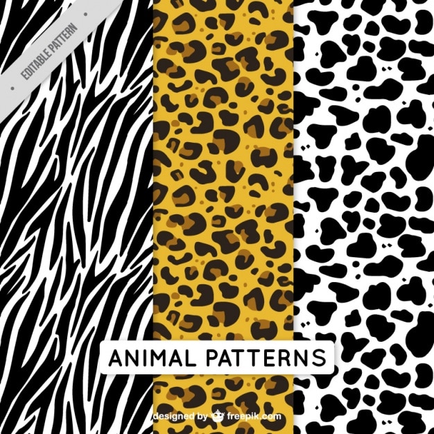 Download Pak van decoratieve dieren patronen | Gratis Vector