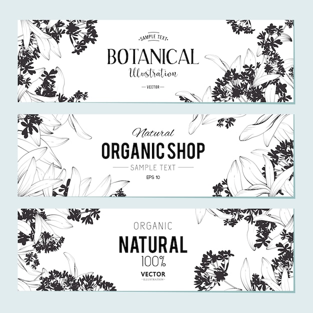 Planten en kruiden banners instellen. element voor ontwerp of uitnodigingskaart Gratis Vector