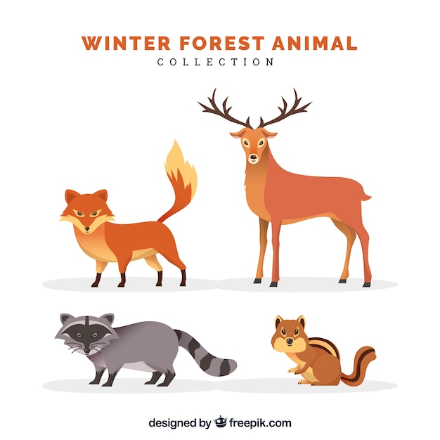 Platte winter dieren collectie Gratis Vector