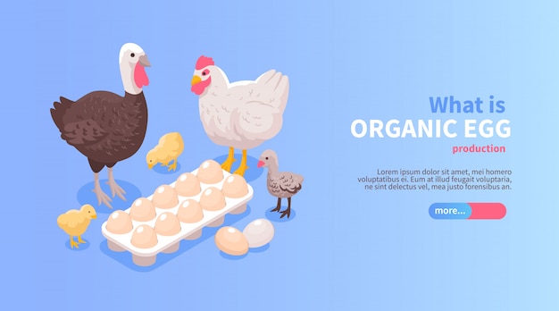 Pluimveebedrijf productie isometrische horizontale website banner ontwerp met biologische eieren kalkoen vlees aanbieding | Gratis Vector