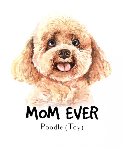Portret poedel toy voor afdrukken Premium Vector