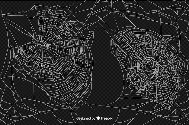 Realistisch abstract ontwerp van spinneweb Gratis Vector