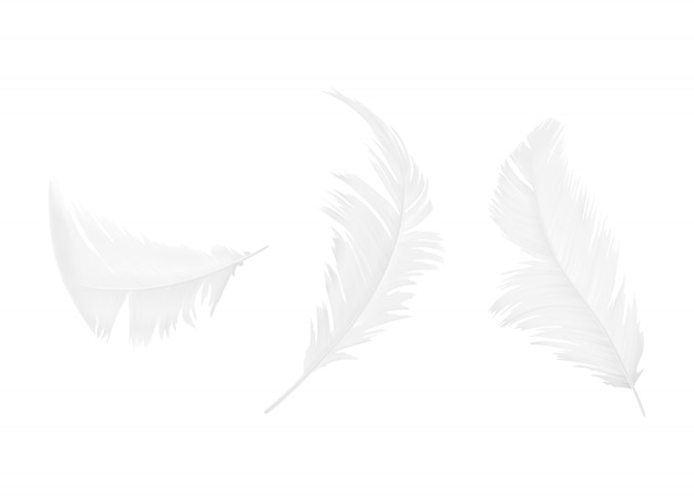 Reeks witte vogel of engelenveren in diverse die vormen, op achtergrond worden geïsoleerd Gratis Vector