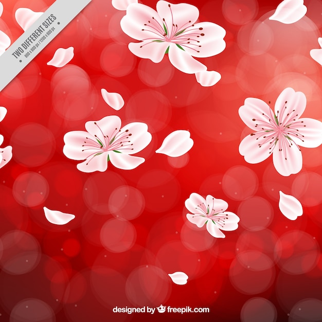 Rode achtergrond met kersenbloesems en bokeh effect | Gratis Vector