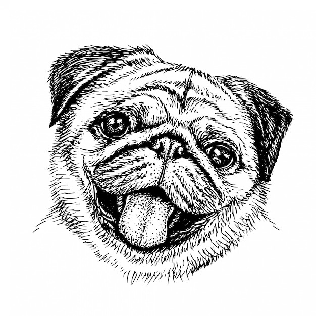 Kleine cartoon hond schets | Cartoon dog drawing, Easy animal drawings,  Cartoon drawings