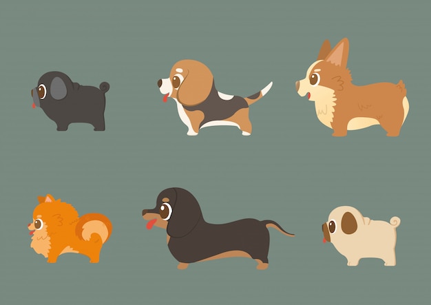 Set van grappige rashonden Premium Vector