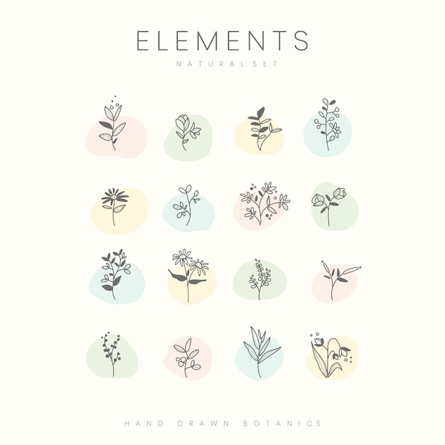 Set van hand getrokken botanische elementen vector Gratis Vector