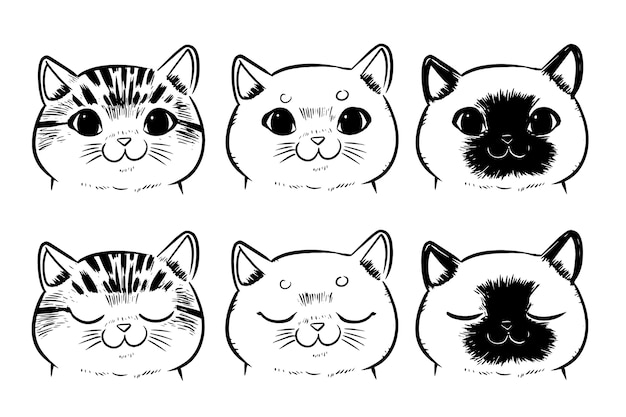 Welp Set van tekening kat gezichten geïsoleerd op een witte achtergrond DI-48