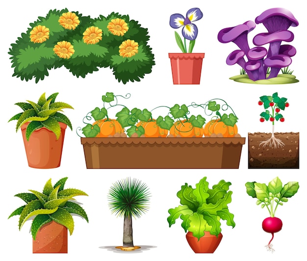 Set van verschillende planten in potten wit | Gratis Vector