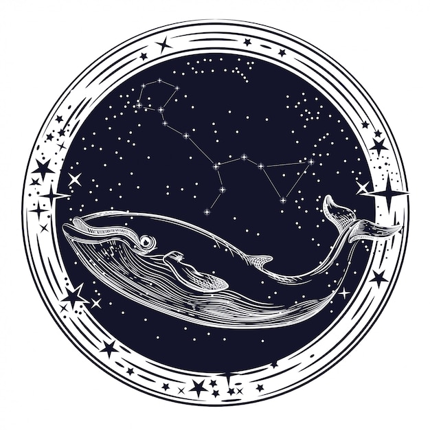 Vector afbeelding van walvis en constellatie van walvis Premium Vector