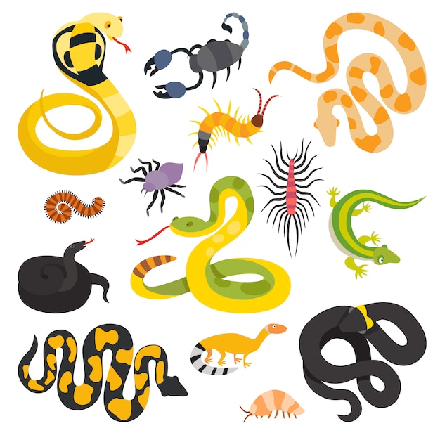 Vector platte slangen en andere geïsoleerde collectie van gevaar dieren. Premium Vector