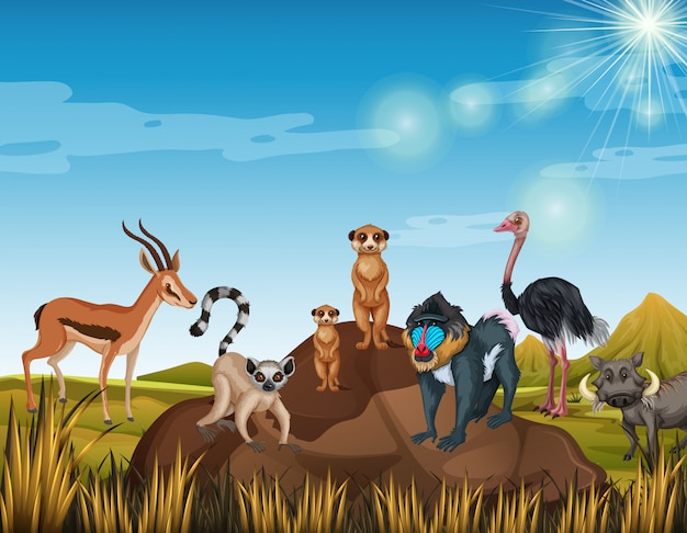 Veel dieren staan in het veld Gratis Vector