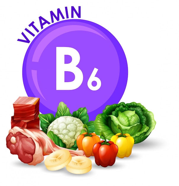 dienblad uitbreiden Kwalificatie Verscheidenheid aan verschillende voedingsmiddelen met vitamine b6 |  Premium Vector