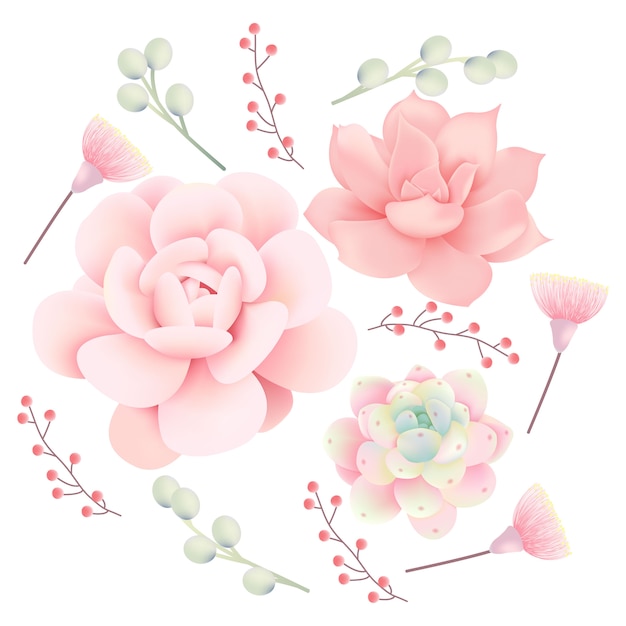 Vetplanten vector collectie Premium Vector