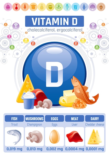 Afleiding Stam rand Vitamine d voedsel infographic poster. ontwerp van gezonde  voedingssupplementen | Premium Vector