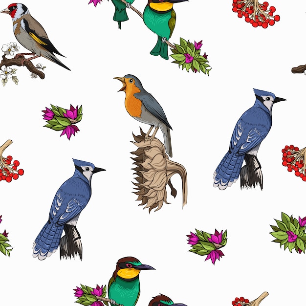 Vogels soorten patroon heldere kleurrijke sjabloon vector Premium Vector