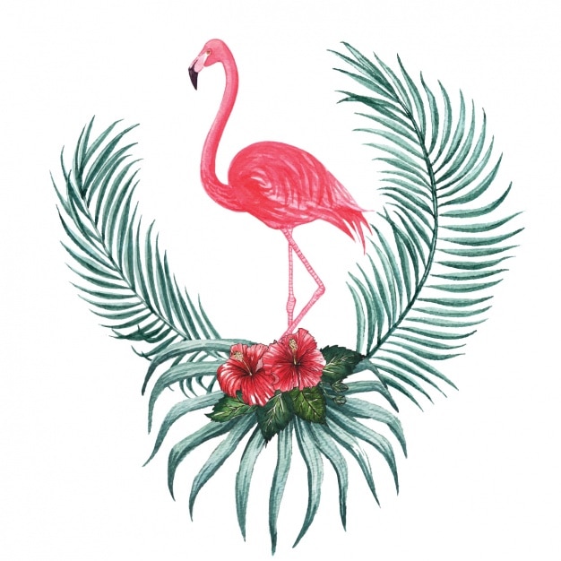 Download Watercolor flamingo decoratief | Gratis Vector