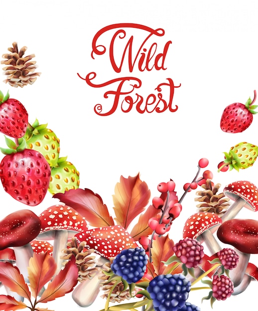 Wild bosvruchten samenstelling Premium Vector