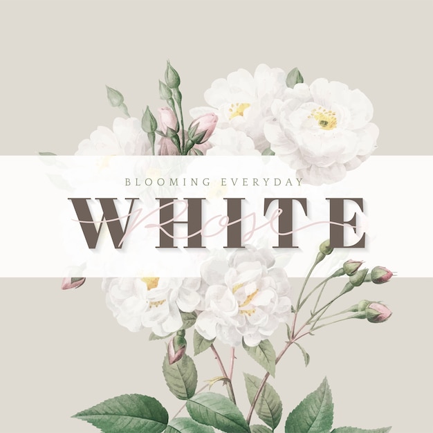 Witte rozen inspirerende kaart ontwerp Gratis Vector