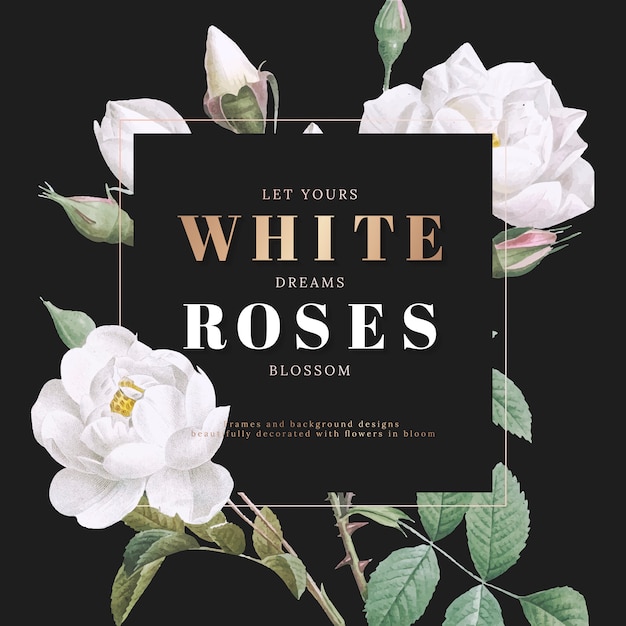 Witte rozen inspirerende kaart ontwerp Gratis Vector